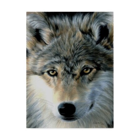 Carla Kurt 'Young Wolf' Canvas Art,35x47